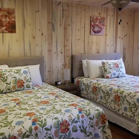 Bluff Gardens 게스트하우스 외부 사진